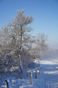 Hiking trail in a snowy landscape in winter
