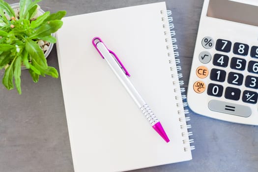 Calculator, notepad,  pen and green plant on grey background, stock photo