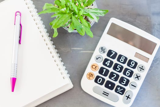 Calculator, notepad,  pen and green plant on grey background, stock photo