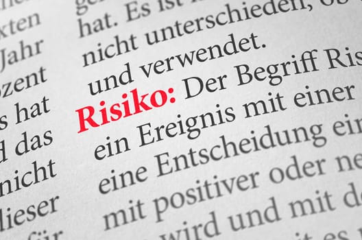 Dictionary with the term risk