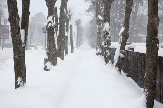 An walking alley covered with thick snow
