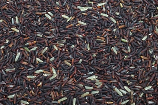 Black Rice, Blackberry Rice, Purple Rice