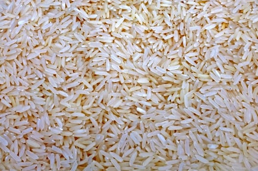 White Rice, Jasmine Rice as wallpaper