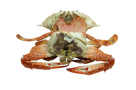 Streamed / boiled Flower crab / Blue crab / Blue swimmer crab / Blue manna crab / Sand crab isolated on white background