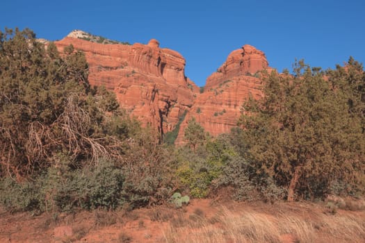 Landscape of a red rock wall surrounded in green foliage.