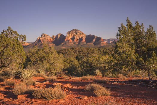 Landscape of Thunder Mountain with red desert and foliage in the foreground, Sedona, Arizona.