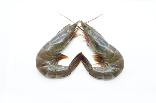 Raw / fresh shrimp / prawn isolated on white background
