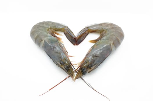 Raw / fresh shrimp / prawn isolated on white background