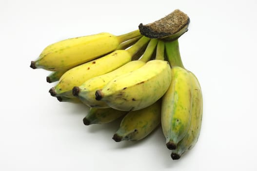 cultivated banana on white background