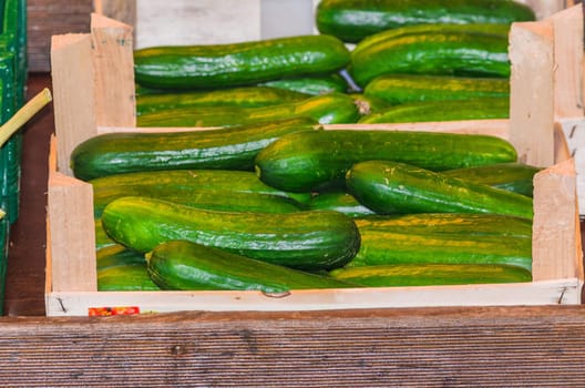 Take in fresh cucumbers in a wooden box.