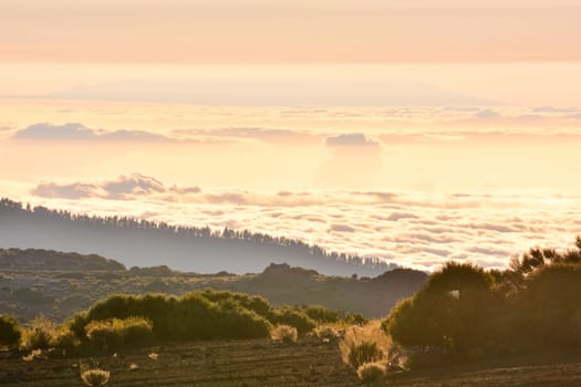 Desert Landscape in Volcan Teide National Park, Tenerife, Canary Island, Spain