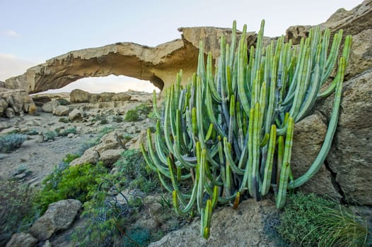 Volcanic Formation Natural Arch in the Desert Tenerife Canary Islands Spain