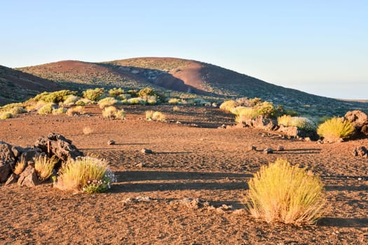 Sunset Desert Landscape in Tenerife Canary Island Spain