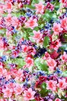 Picture of Classic Flower Background Texture Pattern