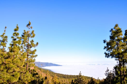 Mar de Nubes, Sea Cloud on the High Mountains Phenomenon in Tenerife, Canary Island