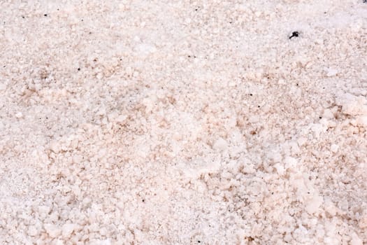Picture Photo of Salt Flats in the Canry islands