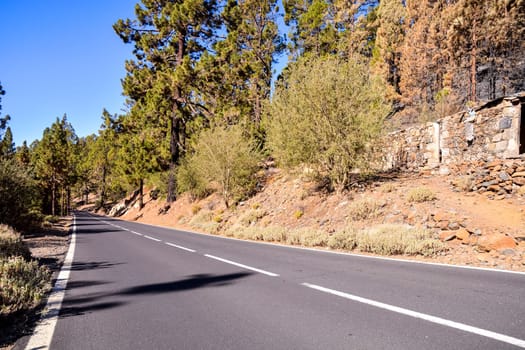 Long Empty Desert Asphalt Road in Tenerife Canary Islands Spain