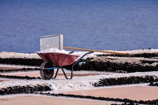 Picture Photo of Salt Flats in the Canry islands
