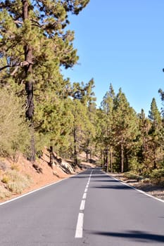 Long Empty Desert Asphalt Road in Tenerife Canary Islands Spain