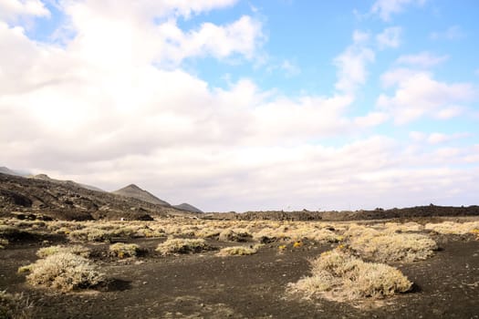 Desert landscape in Tenerife Canary Islands Spain