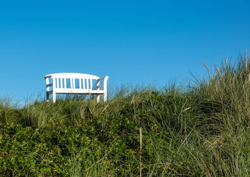 bench or (bank building without river without house without skyline)