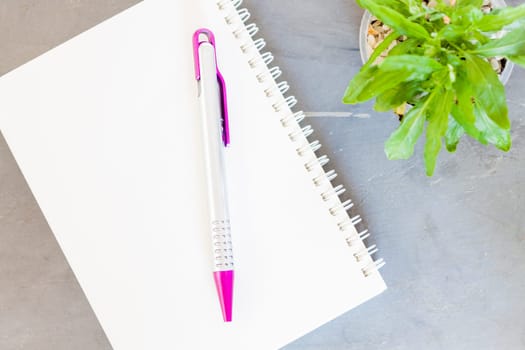 Notepad, pen and green plant on grey background, stock photo