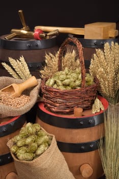 Beer barrels,hammer and tap with wheat,barley,hops and malt