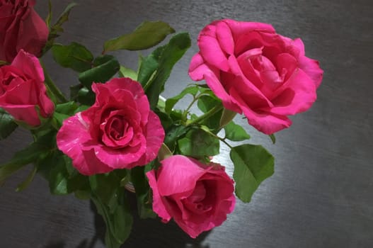 Natural red and pink rose