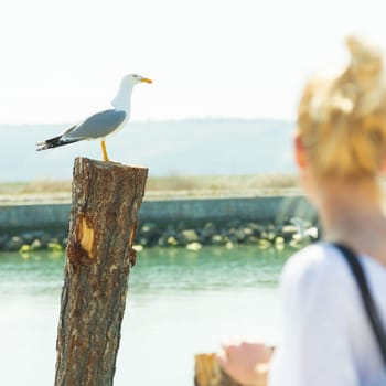 Woman watching seagull in salina. Summertime feeling.