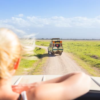 Woman on african wildlife safari observing animals and nature from open roof safari jeep. Rear view.