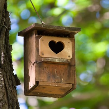 Bird house hanging from the tree with the entrance hole in the shape of a heart.