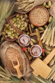 two beer glasses,hammer,tap with wheat,barley,hops and malt