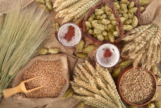 two beer glasses with wheat,barley,hops and malt