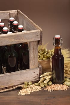 Beer box and beer bottle with wheat,barley,hops and malt