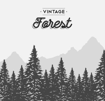 Vintage forest concept illustration with retro text label and winter tree landscape. EPS10 vector.