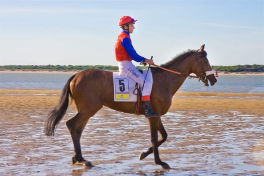 SANLUCAR DE BARRAMEDA, CADIZ, SPAIN - AUGUST 3