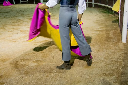Night training for bullfighters or tentadero. This performance is made for select animals for breed braves fighting bulls