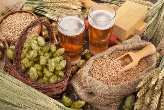 two beer glasses,hammer,tap in wheat,barley,hops and malt\n
