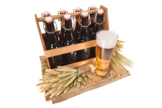 Beer carriers and beer glass with wheat,barley,hops and malt Insulated On White