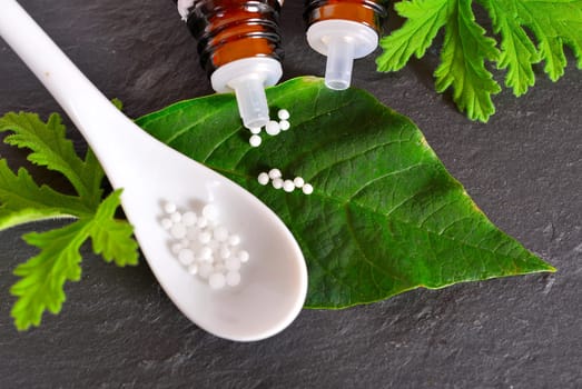 Globuli beads homeopathy