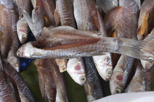 Dried salted fish