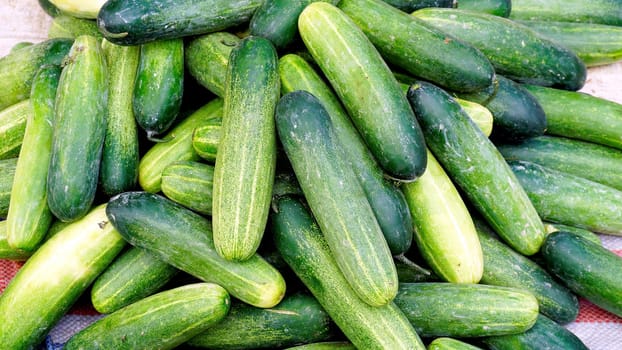 Fresh cucumber organic vegetables in farmer market  Luang Prabang, Laos