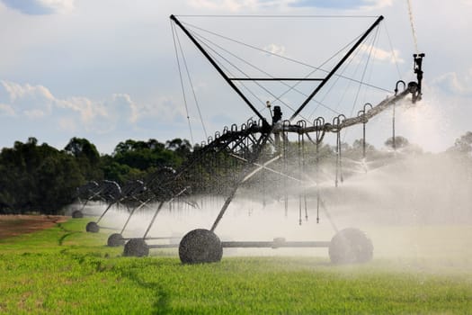 A Lateral Move Irrigation System, sometimes called a Linear Move, Wheelmove or Side Roll System, irrigating crops in Australia. These systems are often 500 meters to 1000 meters long.
