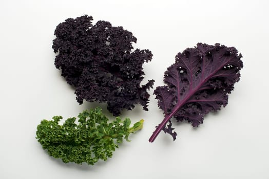 Fresh kale leaf on white background close up