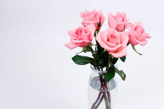 Five pink roses floral arrangement with stems and leaves in a clear glass vase with a white gray background. Bouquet of pink rose flowers in a glass vase on a empty background