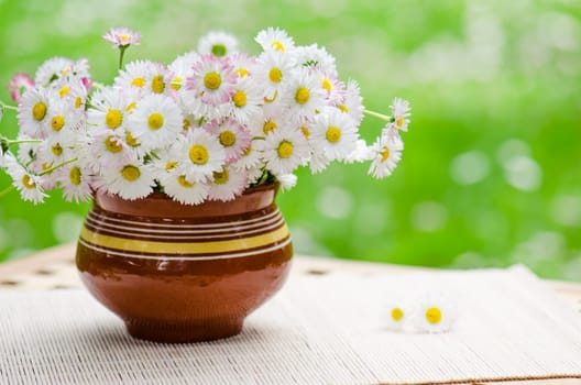 A bouquet of daisies in a pot at the table