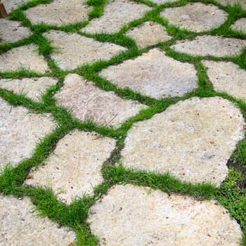 Track of the limestone slabs in the garden