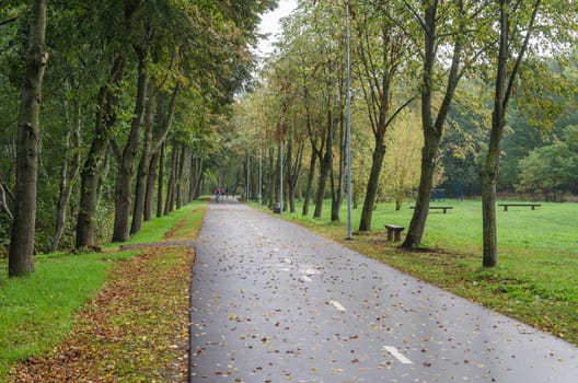 Alley with fallen leaves in autumn park