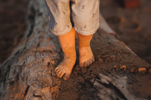 the child's feet on a log with sand on an evening beach