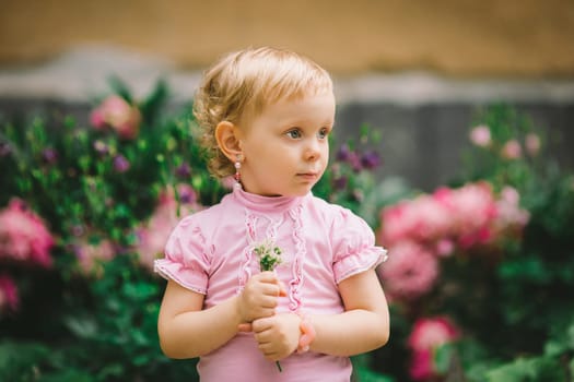 the little girl with white hair and blue eyes in a pink t-shirt poses against flowers